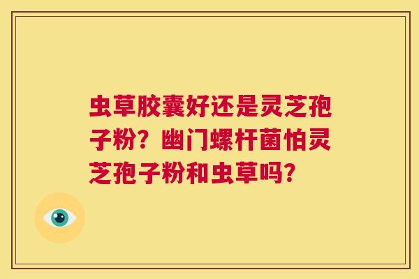 虫草胶囊好还是灵芝孢子粉？幽门螺杆菌怕灵芝孢子粉和虫草吗？  第1张