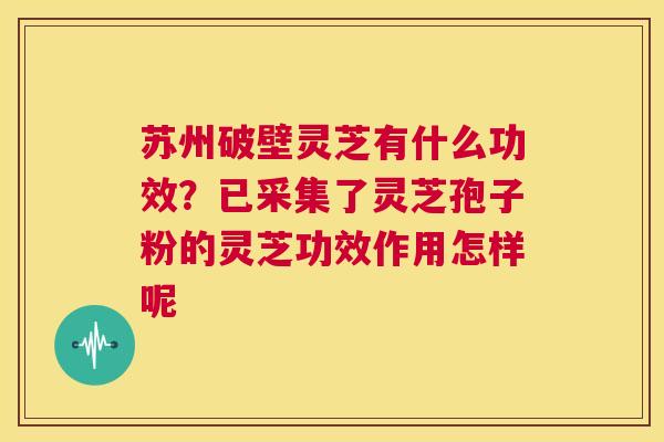 苏州破壁灵芝有什么功效?已采集了灵芝孢子粉的灵芝功效作用怎样呢 第1张 苏州破壁灵芝有什么功效?已采集了灵芝孢子粉的灵芝功效作用怎样呢 第1张