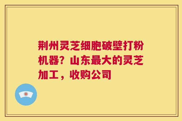 荆州灵芝细胞破壁打粉机器?山东最大的灵芝加工,收购公司 第1张 荆州灵芝细胞破壁打粉机器?山东最大的灵芝加工,收购公司 第1张