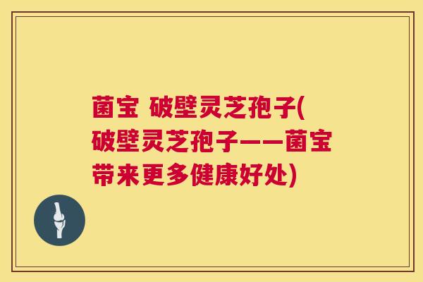 菌宝 破壁灵芝孢子(破壁灵芝孢子——菌宝带来更多健康好处)  第1张