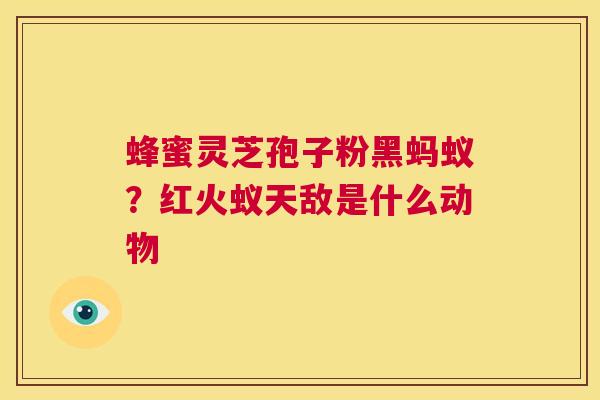 蜂蜜灵芝孢子粉黑蚂蚁？红火蚁天敌是什么动物  第1张