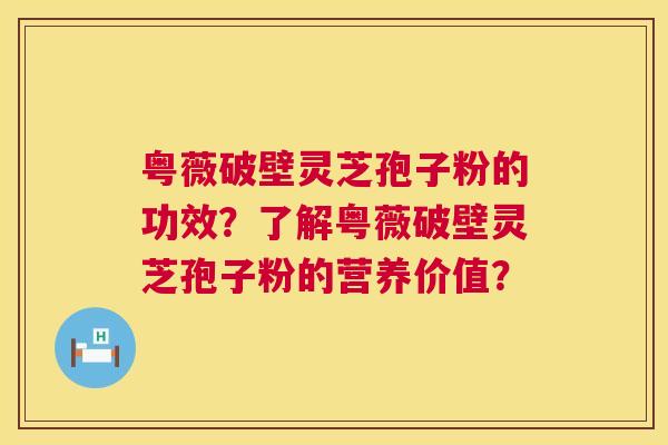 粤薇破壁灵芝孢子粉的功效?了解粤薇破壁灵芝孢子粉的营养价值? 第1张 粤薇破壁灵芝孢子粉的功效?了解粤薇破壁灵芝孢子粉的营养价值? 第1张