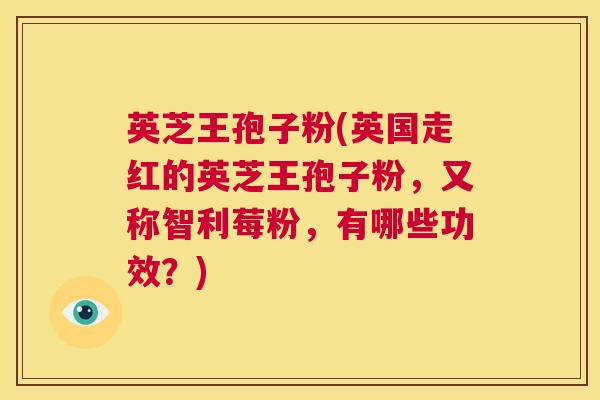英芝王孢子粉(英国走红的英芝王孢子粉,又称智利莓粉,有哪些功效?) 第1张 英芝王孢子粉(英国走红的英芝王孢子粉,又称智利莓粉,有哪些功效?) 第1张