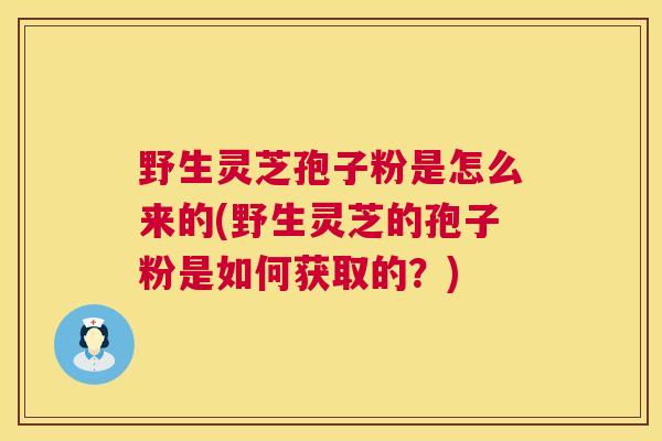 野生灵芝孢子粉是怎么来的(野生灵芝的孢子粉是如何获取的?) 第1张 野生灵芝孢子粉是怎么来的(野生灵芝的孢子粉是如何获取的?) 第1张