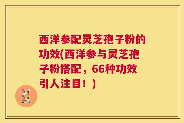 西洋参配灵芝孢子粉的功效(西洋参与灵芝孢子粉搭配，66种功效引人注目！)  第1张