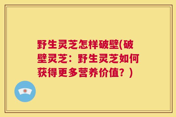 野生灵芝怎样破壁(破壁灵芝:野生灵芝如何获得更多营养价值?) 第1张 野生灵芝怎样破壁(破壁灵芝:野生灵芝如何获得更多营养价值?) 第1张
