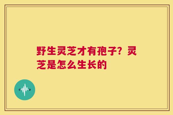 野生灵芝才有孢子?灵芝是怎么生长的 第1张 野生灵芝才有孢子?灵芝是怎么生长的 第1张