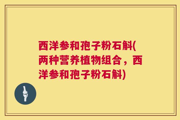 西洋参和孢子粉石斛(两种营养植物组合,西洋参和孢子粉石斛) 第1张 西洋参和孢子粉石斛(两种营养植物组合,西洋参和孢子粉石斛) 第1张