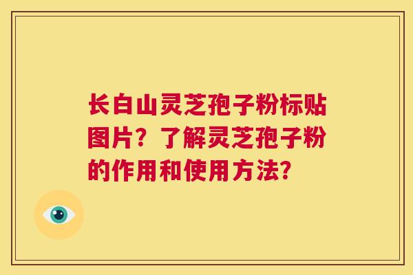 长白山灵芝孢子粉标贴图片?了解灵芝孢子粉的作用和使用方法? 第1张 长白山灵芝孢子粉标贴图片?了解灵芝孢子粉的作用和使用方法? 第1张