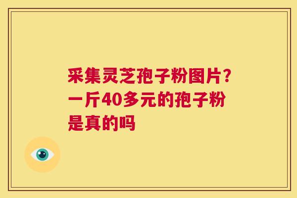 采集灵芝孢子粉图片?一斤40多元的孢子粉是真的吗 第1张 采集灵芝孢子粉图片?一斤40多元的孢子粉是真的吗 第1张