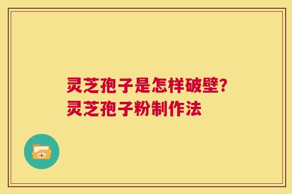 灵芝孢子是怎样破壁?灵芝孢子粉制作法 第1张 灵芝孢子是怎样破壁?灵芝孢子粉制作法 第1张