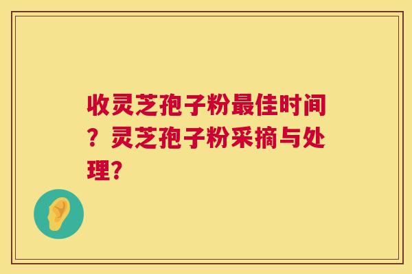 收灵芝孢子粉最佳时间?灵芝孢子粉采摘与处理? 第1张 收灵芝孢子粉最佳时间?灵芝孢子粉采摘与处理? 第1张
