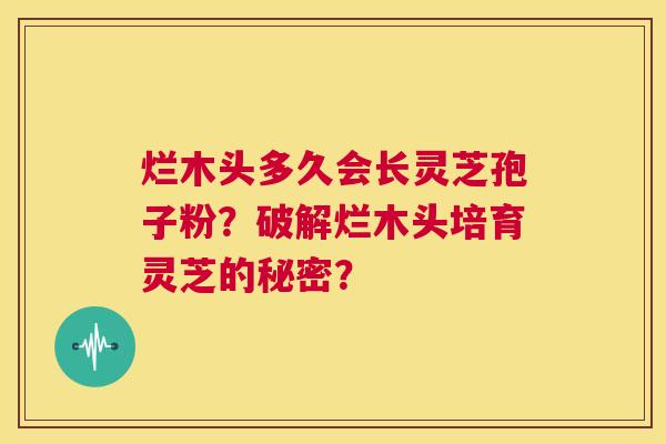 烂木头多久会长灵芝孢子粉?破解烂木头培育灵芝的秘密? 第1张 烂木头多久会长灵芝孢子粉?破解烂木头培育灵芝的秘密? 第1张
