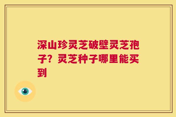 深山珍灵芝破壁灵芝孢子?灵芝种子哪里能买到 第1张 深山珍灵芝破壁灵芝孢子?灵芝种子哪里能买到 第1张