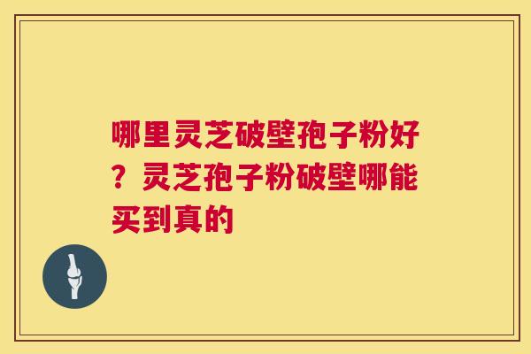 哪里灵芝破壁孢子粉好？灵芝孢子粉破壁哪能买到真的  第1张
