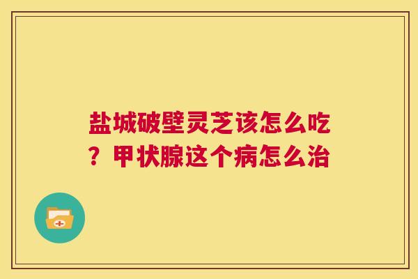 盐城破壁灵芝该怎么吃？甲状腺这个病怎么治  第1张