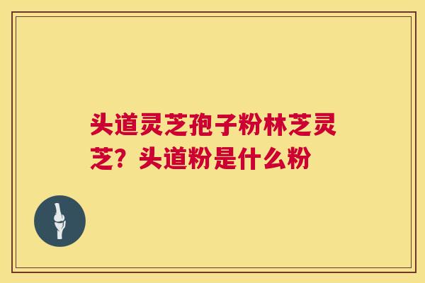 头道灵芝孢子粉林芝灵芝?头道粉是什么粉 第1张 头道灵芝孢子粉林芝灵芝?头道粉是什么粉 第1张