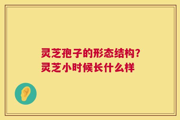 灵芝孢子的形态结构?灵芝小时候长什么样 第1张 灵芝孢子的形态结构?灵芝小时候长什么样 第1张