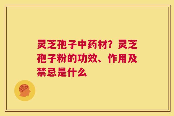 灵芝孢子中药材?灵芝孢子粉的功效、作用及禁忌是什么 第1张 灵芝孢子中药材?灵芝孢子粉的功效、作用及禁忌是什么 第1张