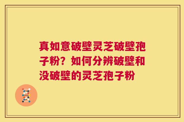 真如意破壁灵芝破壁孢子粉?如何分辨破壁和没破壁的灵芝孢子粉 第1张 真如意破壁灵芝破壁孢子粉?如何分辨破壁和没破壁的灵芝孢子粉 第1张