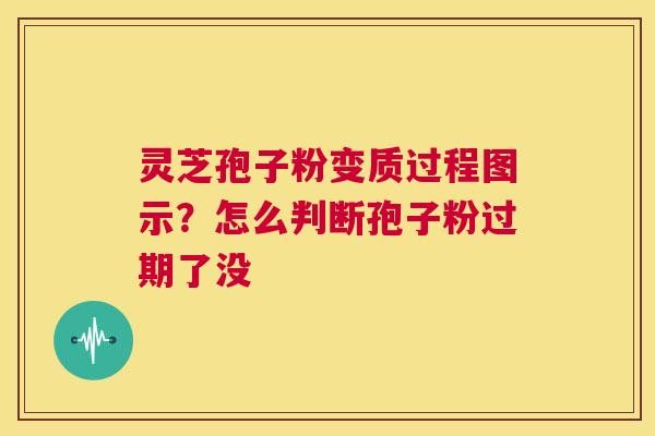 灵芝孢子粉变质过程图示?怎么判断孢子粉过期了没 第1张 灵芝孢子粉变质过程图示?怎么判断孢子粉过期了没 第1张