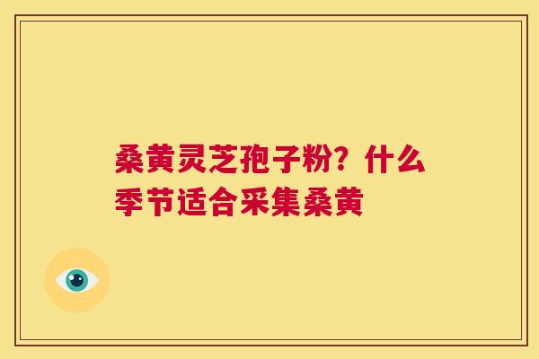 桑黄灵芝孢子粉?什么季节适合采集桑黄 第1张 桑黄灵芝孢子粉?什么季节适合采集桑黄 第1张