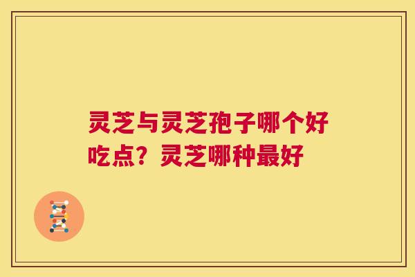 灵芝与灵芝孢子哪个好吃点?灵芝哪种最好 第1张 灵芝与灵芝孢子哪个好吃点?灵芝哪种最好 第1张