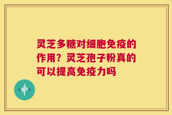 灵芝多糖对细胞免疫的作用?灵芝孢子粉真的可以提高免疫力吗 第1张 灵芝多糖对细胞免疫的作用?灵芝孢子粉真的可以提高免疫力吗 第1张