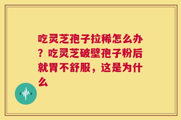 吃灵芝孢子拉稀怎么办?吃灵芝破壁孢子粉后就胃不舒服,这是为什么 第1张 吃灵芝孢子拉稀怎么办?吃灵芝破壁孢子粉后就胃不舒服,这是为什么 第1张