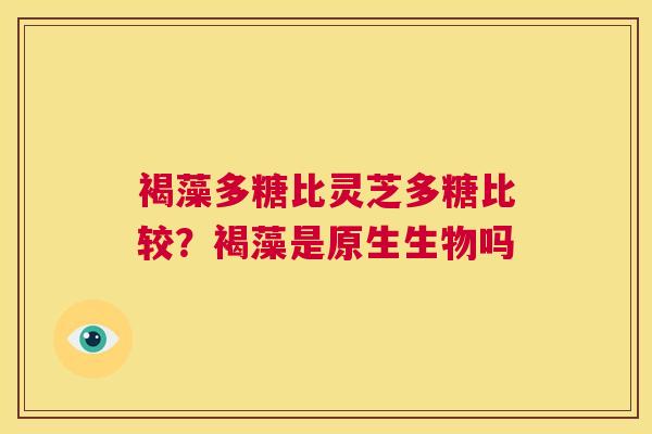 褐藻多糖比灵芝多糖比较?褐藻是原生生物吗 第1张 褐藻多糖比灵芝多糖比较?褐藻是原生生物吗 第1张