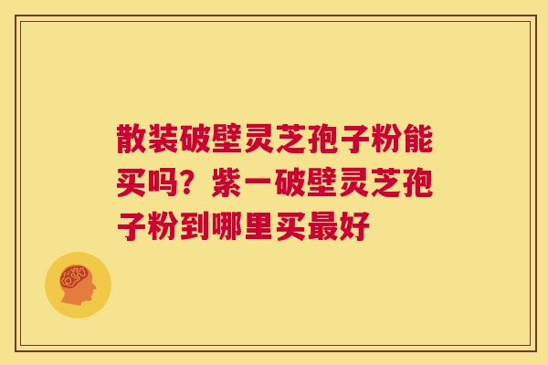 散装破壁灵芝孢子粉能买吗？紫一破壁灵芝孢子粉到哪里买最好  第1张
