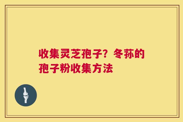 收集灵芝孢子?冬荪的孢子粉收集方法 第1张 收集灵芝孢子?冬荪的孢子粉收集方法 第1张