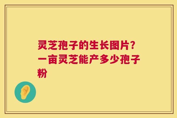 灵芝孢子的生长图片?一亩灵芝能产多少孢子粉 第1张 灵芝孢子的生长图片?一亩灵芝能产多少孢子粉 第1张