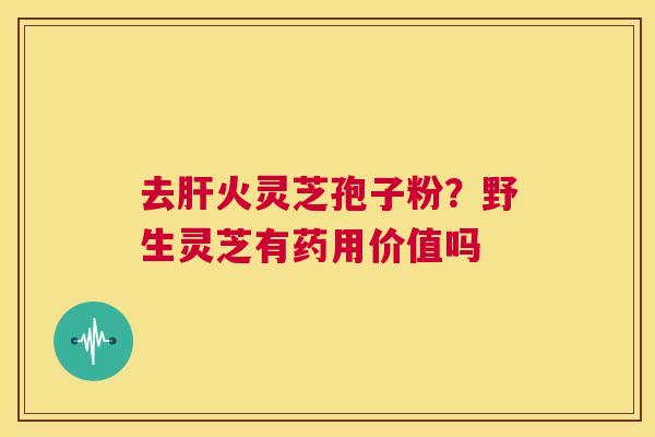 去肝火灵芝孢子粉?野生灵芝有药用价值吗 第1张 去肝火灵芝孢子粉?野生灵芝有药用价值吗 第1张
