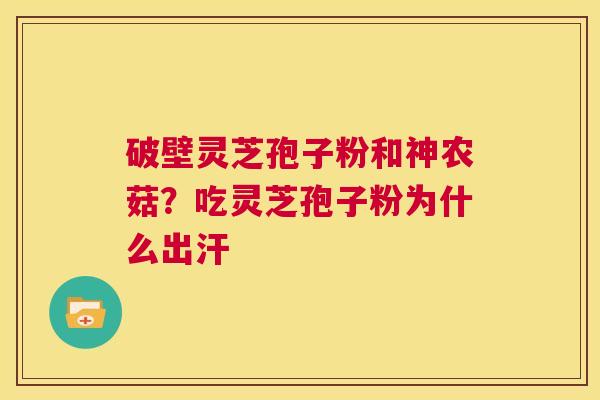 破壁灵芝孢子粉和神农菇？吃灵芝孢子粉为什么出汗  第1张