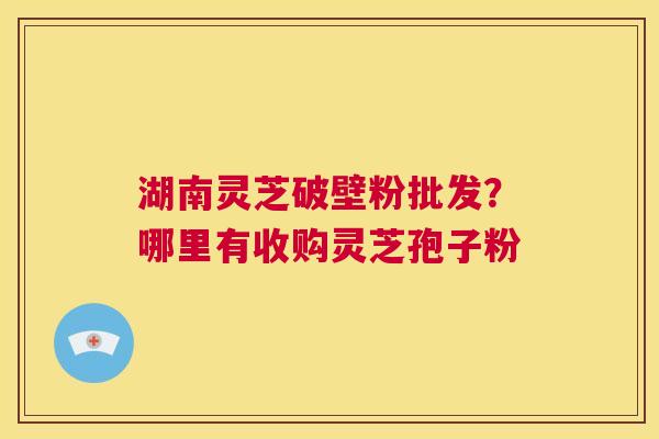 湖南灵芝破壁粉批发?哪里有收购灵芝孢子粉 第1张 湖南灵芝破壁粉批发?哪里有收购灵芝孢子粉 第1张