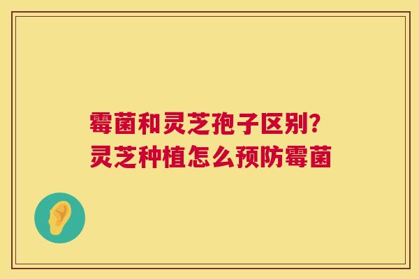霉菌和灵芝孢子区别?灵芝种植怎么预防霉菌 第1张 霉菌和灵芝孢子区别?灵芝种植怎么预防霉菌 第1张