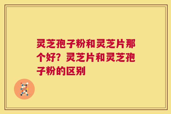 灵芝孢子粉和灵芝片那个好？灵芝片和灵芝孢子粉的区别  第1张