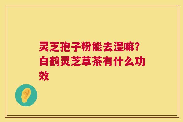 灵芝孢子粉能去湿嘛?白鹤灵芝草茶有什么功效 第1张 灵芝孢子粉能去湿嘛?白鹤灵芝草茶有什么功效 第1张