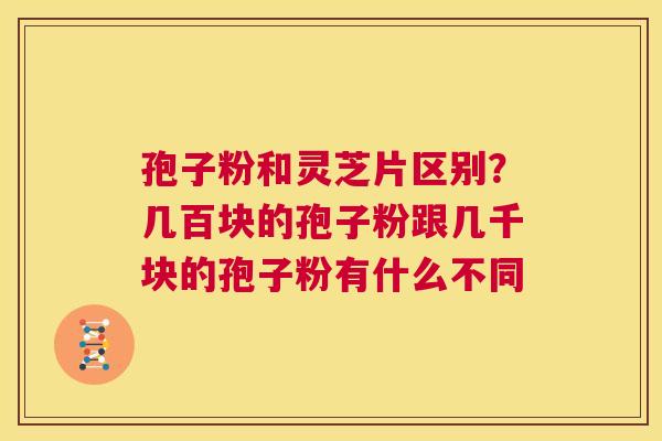 孢子粉和灵芝片区别?几百块的孢子粉跟几千块的孢子粉有什么不同 第1张 孢子粉和灵芝片区别?几百块的孢子粉跟几千块的孢子粉有什么不同 第1张