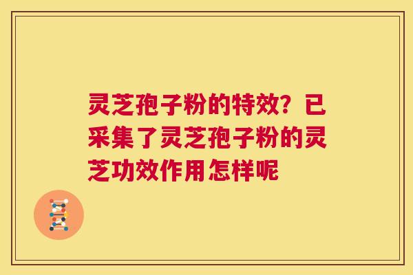 灵芝孢子粉的特效？已采集了灵芝孢子粉的灵芝功效作用怎样呢  第1张