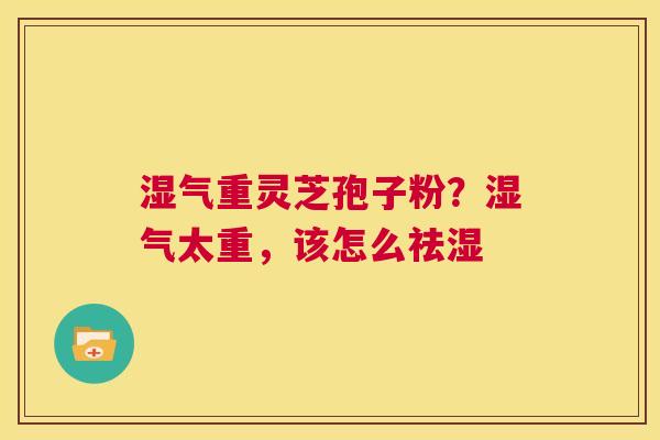 湿气重灵芝孢子粉?湿气太重,该怎么祛湿 第1张 湿气重灵芝孢子粉?湿气太重,该怎么祛湿 第1张