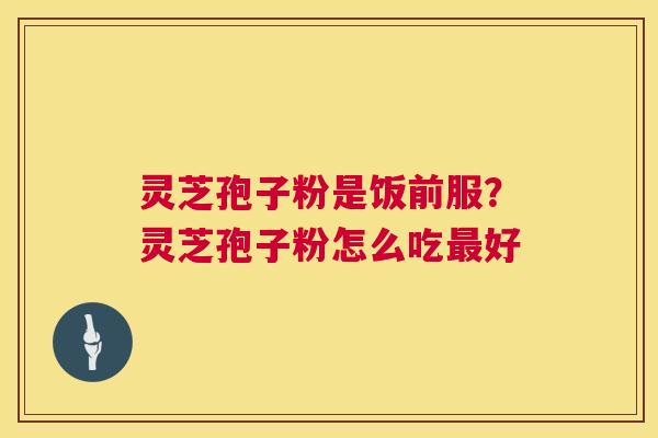 灵芝孢子粉是饭前服？灵芝孢子粉怎么吃最好  第1张