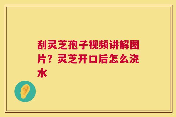 刮灵芝孢子视频讲解图片?灵芝开口后怎么浇水 第1张 刮灵芝孢子视频讲解图片?灵芝开口后怎么浇水 第1张