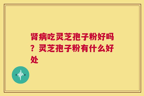 肾病吃灵芝孢子粉好吗?灵芝孢子粉有什么好处 第1张 肾病吃灵芝孢子粉好吗?灵芝孢子粉有什么好处 第1张