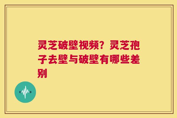 灵芝破壁视频?灵芝孢子去壁与破壁有哪些差别 第1张 灵芝破壁视频?灵芝孢子去壁与破壁有哪些差别 第1张