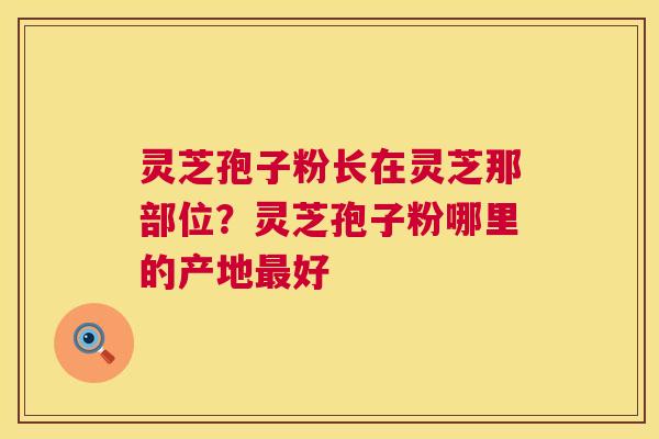 灵芝孢子粉长在灵芝那部位?灵芝孢子粉哪里的产地最好 第1张 灵芝孢子粉长在灵芝那部位?灵芝孢子粉哪里的产地最好 第1张