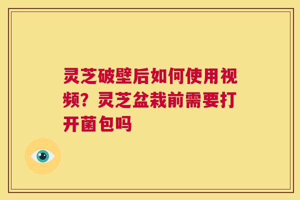 灵芝破壁后如何使用视频?灵芝盆栽前需要打开菌包吗 第1张 灵芝破壁后如何使用视频?灵芝盆栽前需要打开菌包吗 第1张