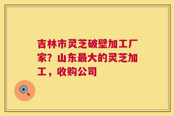 吉林市灵芝破壁加工厂家?山东最大的灵芝加工,收购公司 第1张 吉林市灵芝破壁加工厂家?山东最大的灵芝加工,收购公司 第1张