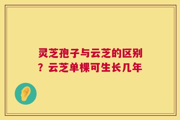 灵芝孢子与云芝的区别?云芝单棵可生长几年 第1张 灵芝孢子与云芝的区别?云芝单棵可生长几年 第1张